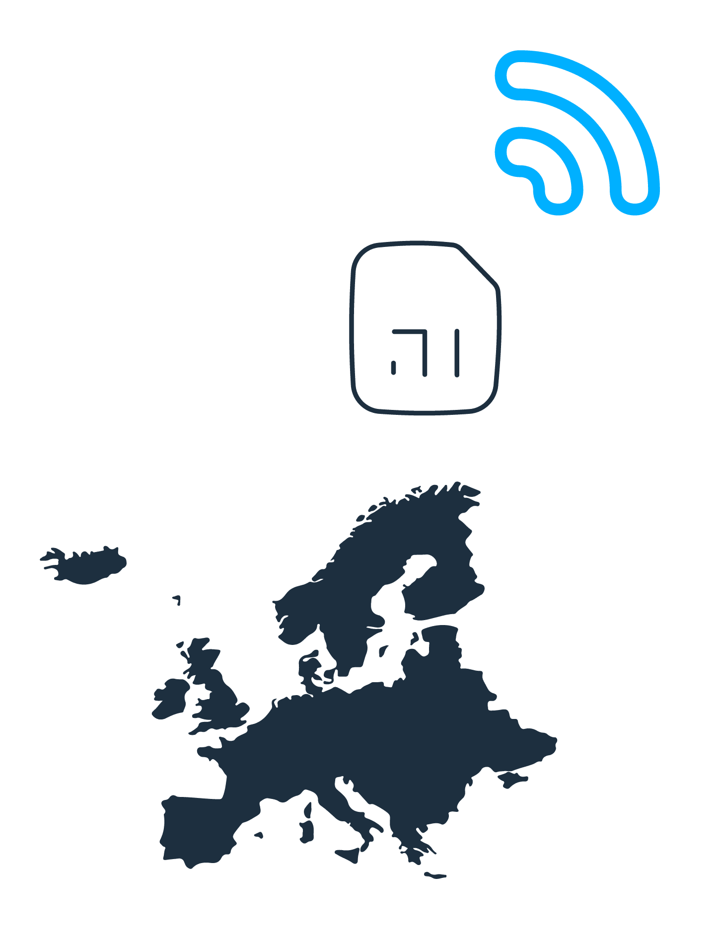 Bornemann SIM-Karte Europa für GPS Geräte | 12 Monate